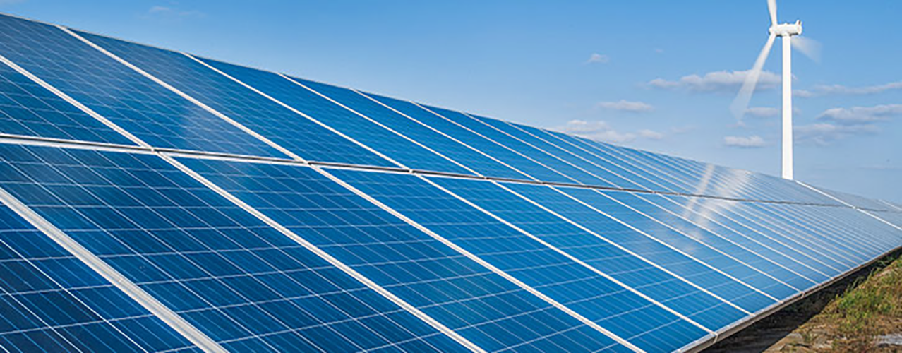 Company Background(图6)