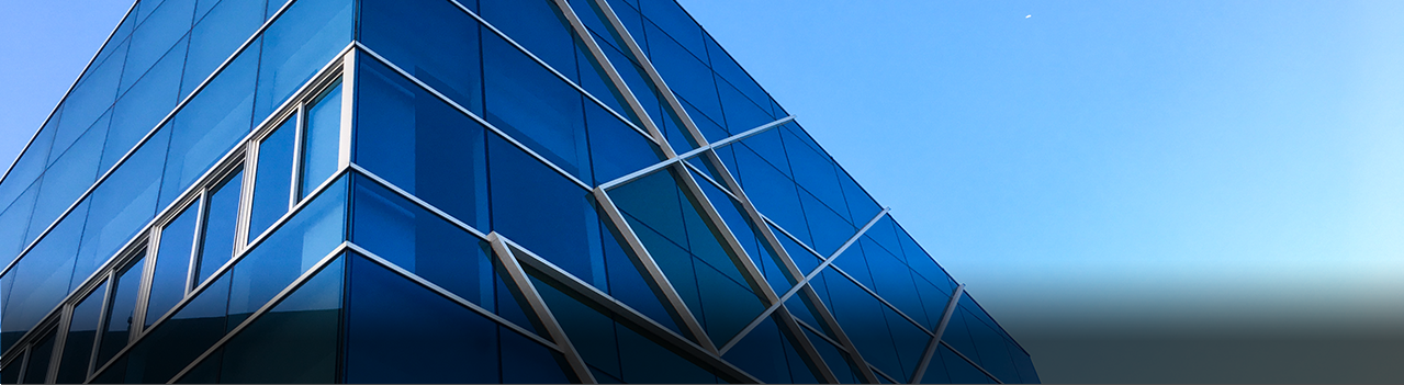 Company Background